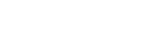 Funded by UK Government logo in white
