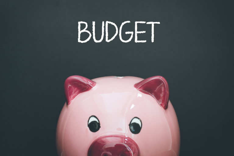 Budget piggy bank