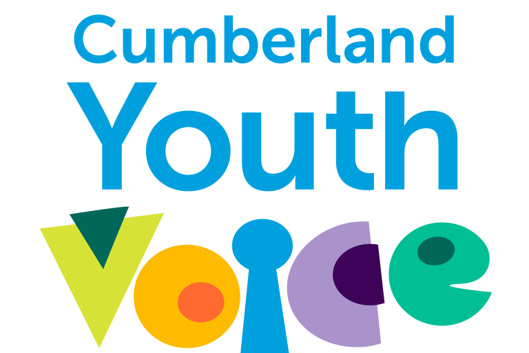 Youth Voice logo