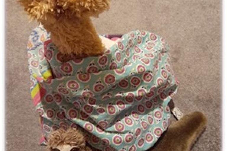Range of soft animal toys in a bag