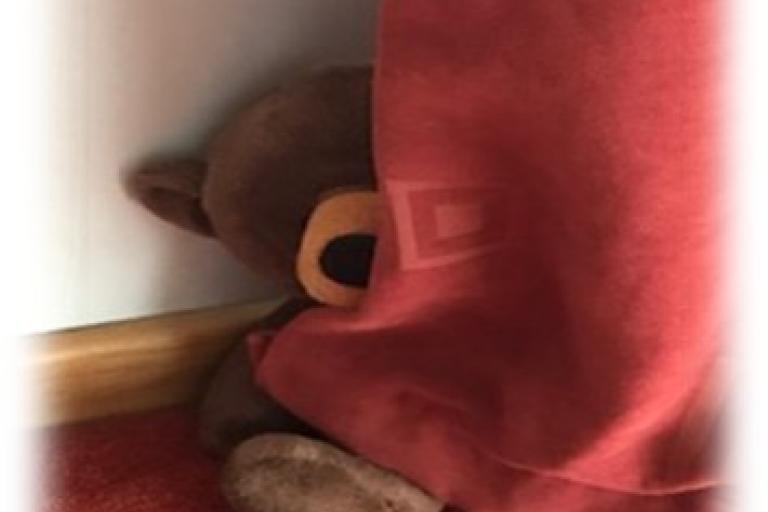 Teddy bear half hidden by a curtain