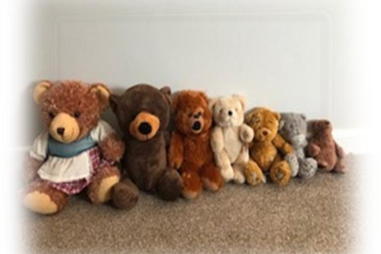 Seven bears lined up against a wall