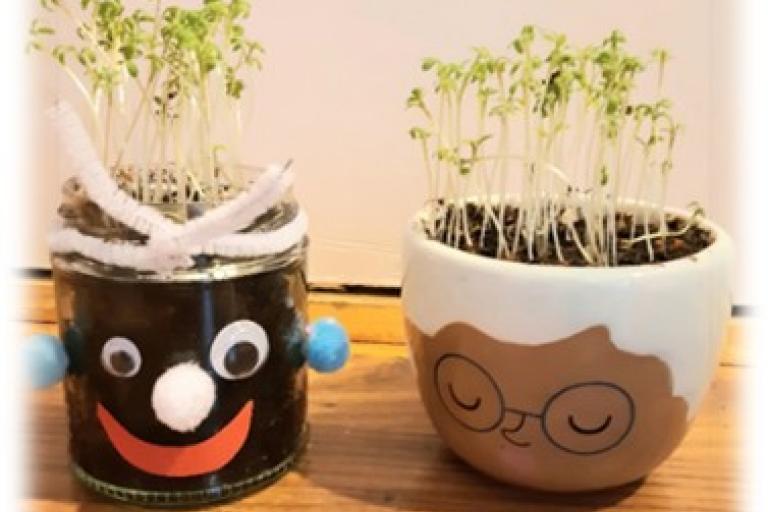 Two decorated jars with growing cress