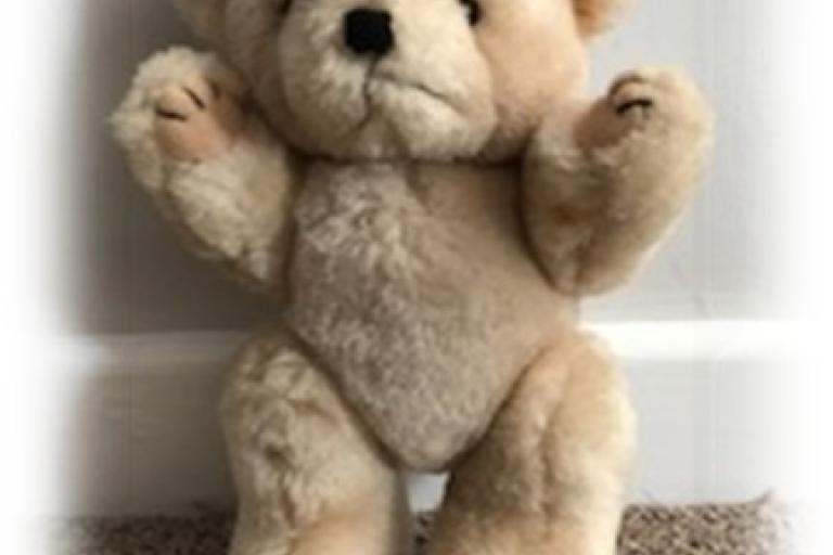 A teddy bear standing against a wall
