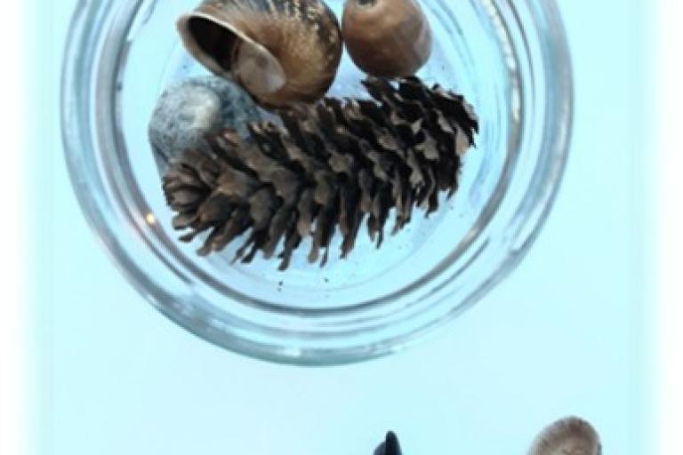 Jar with small random items inside