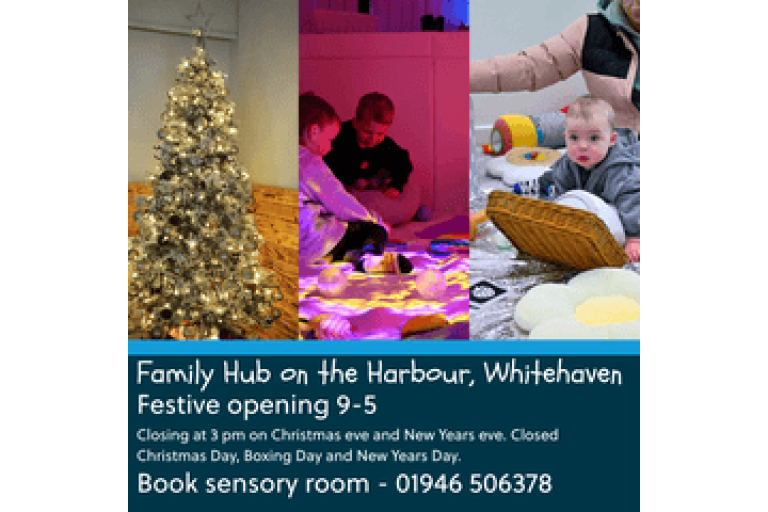 Family Hub on the Harbour Christmas opening hours poster