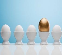 Eggs lined up of different sizes