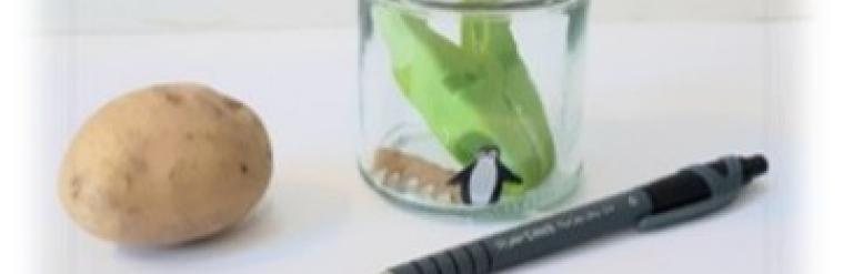 Jars with random items inside beginning with the same letter