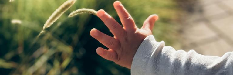 Child touching wild flowers