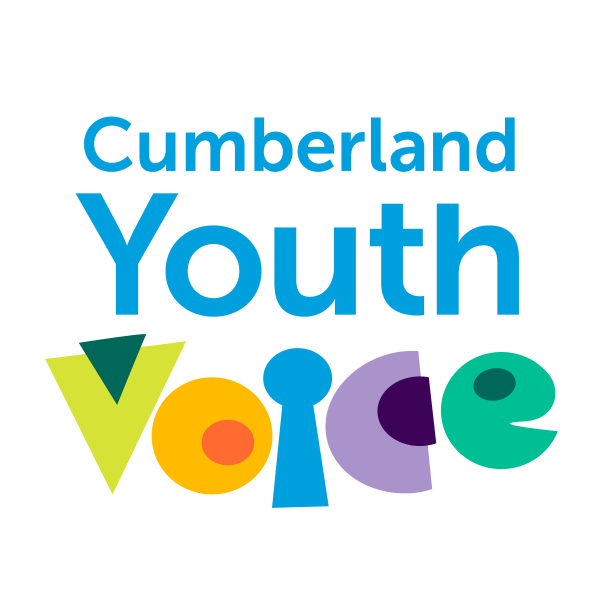 Youth Voice logo